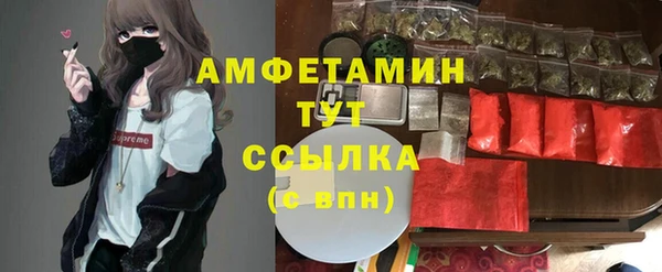 хмурый Алзамай