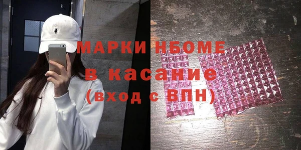 хмурый Алзамай