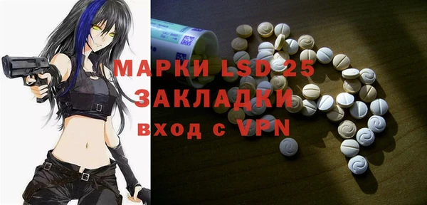 хмурый Алзамай