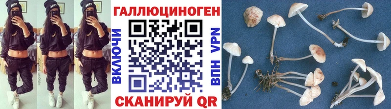 Галлюциногенные грибы MAGIC MUSHROOMS  Чебоксары 