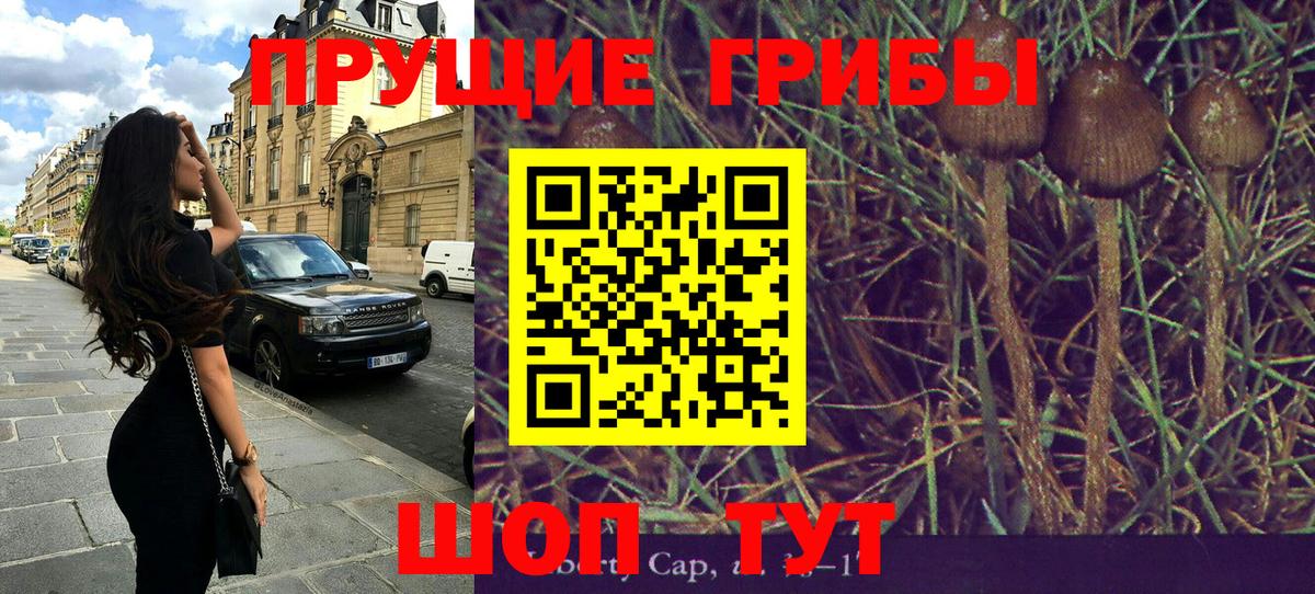 Псилоцибиновые грибы Psilocybe  Вход с VPN  хочу наркоту  Чебоксары 