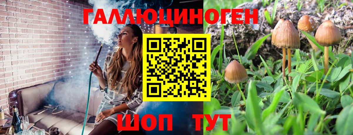 Галлюциногенные грибы мицелий Чебоксары